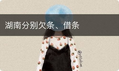 湖南分别欠条、借条