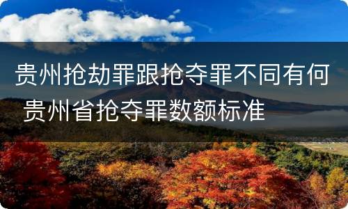 贵州抢劫罪跟抢夺罪不同有何 贵州省抢夺罪数额标准