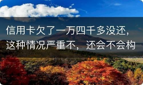 信用卡欠了一万四千多没还，这种情况严重不，还会不会构成信用卡诈骗