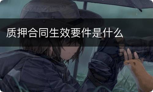 质押合同生效要件是什么
