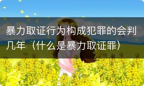 暴力取证行为构成犯罪的会判几年（什么是暴力取证罪）