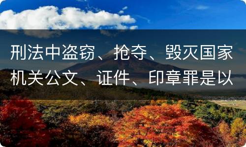 刑法中盗窃、抢夺、毁灭国家机关公文、证件、印章罪是以什么标准立案的