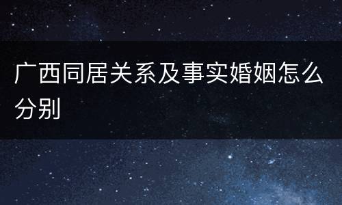 广西同居关系及事实婚姻怎么分别