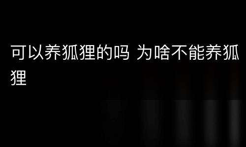 可以养狐狸的吗 为啥不能养狐狸