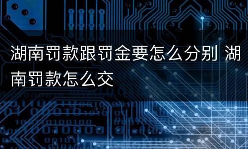 湖南罚款跟罚金要怎么分别 湖南罚款怎么交