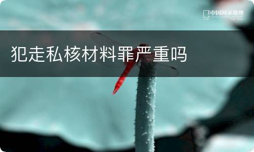 犯走私核材料罪严重吗