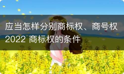 应当怎样分别商标权、商号权2022 商标权的条件