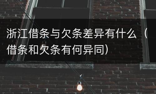 浙江借条与欠条差异有什么（借条和欠条有何异同）