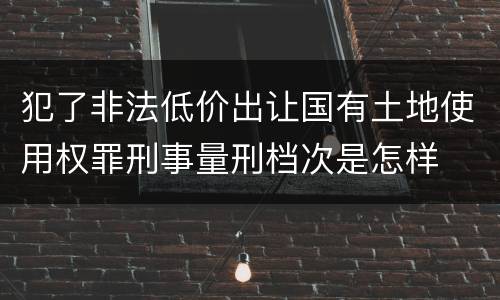 犯了非法低价出让国有土地使用权罪刑事量刑档次是怎样