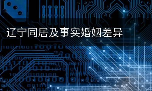 辽宁同居及事实婚姻差异