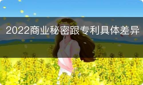 2022商业秘密跟专利具体差异