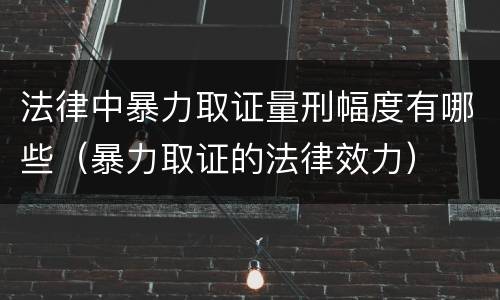 法律中暴力取证量刑幅度有哪些（暴力取证的法律效力）