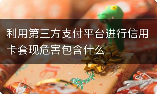 利用第三方支付平台进行信用卡套现危害包含什么