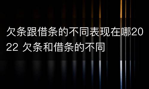 欠条跟借条的不同表现在哪2022 欠条和借条的不同