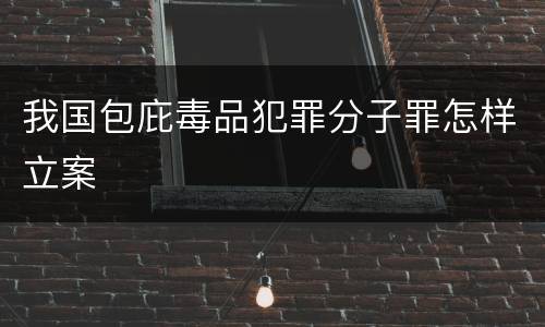 我国包庇毒品犯罪分子罪怎样立案