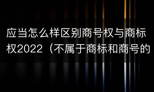 应当怎么样区别商号权与商标权2022（不属于商标和商号的区别是）