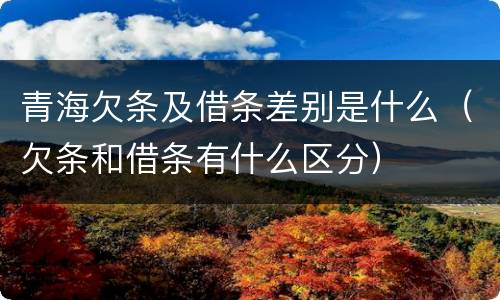 青海欠条及借条差别是什么（欠条和借条有什么区分）