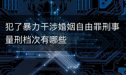 犯了暴力干涉婚姻自由罪刑事量刑档次有哪些