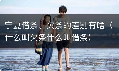 宁夏借条、欠条的差别有啥（什么叫欠条什么叫借条）