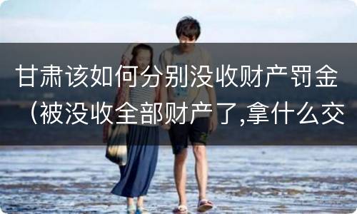 甘肃该如何分别没收财产罚金（被没收全部财产了,拿什么交罚金）