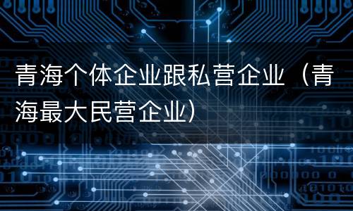 青海个体企业跟私营企业（青海最大民营企业）