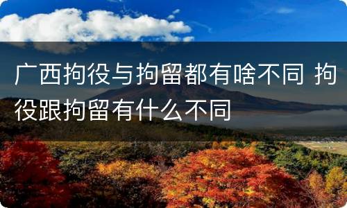 广西拘役与拘留都有啥不同 拘役跟拘留有什么不同