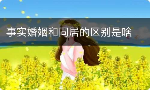 事实婚姻和同居的区别是啥
