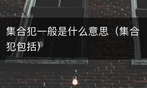 集合犯一般是什么意思（集合犯包括）