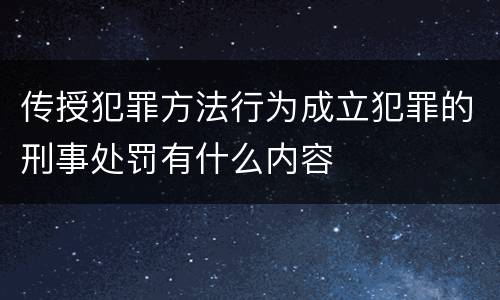 传授犯罪方法行为成立犯罪的刑事处罚有什么内容