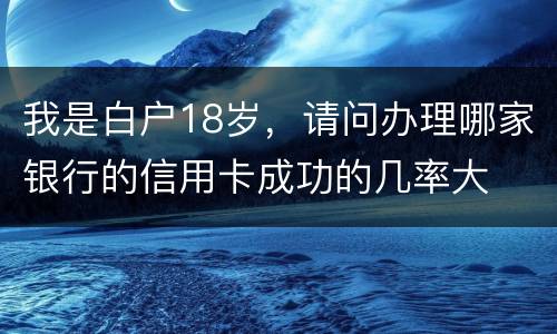 我是白户18岁，请问办理哪家银行的信用卡成功的几率大