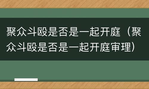 聚众斗殴是否是一起开庭（聚众斗殴是否是一起开庭审理）