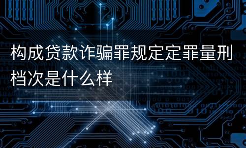 构成贷款诈骗罪规定定罪量刑档次是什么样