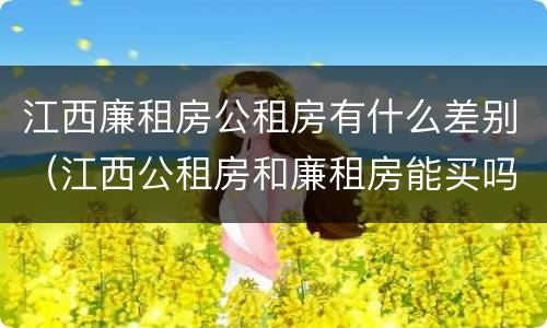 江西廉租房公租房有什么差别（江西公租房和廉租房能买吗）