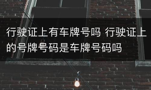 行驶证上有车牌号吗 行驶证上的号牌号码是车牌号码吗