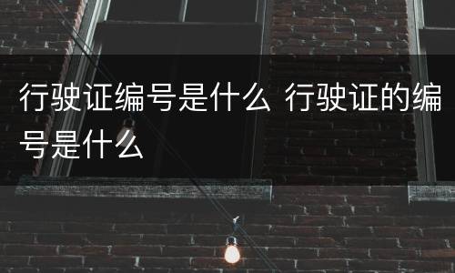 行驶证编号是什么 行驶证的编号是什么