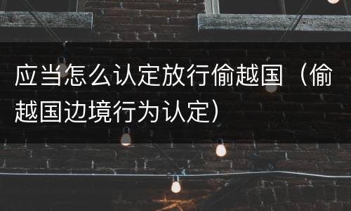 应当怎么认定放行偷越国（偷越国边境行为认定）