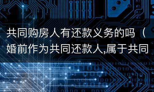 共同购房人有还款义务的吗（婚前作为共同还款人,属于共同买房吗）