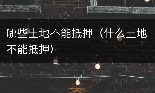 哪些土地不能抵押（什么土地不能抵押）