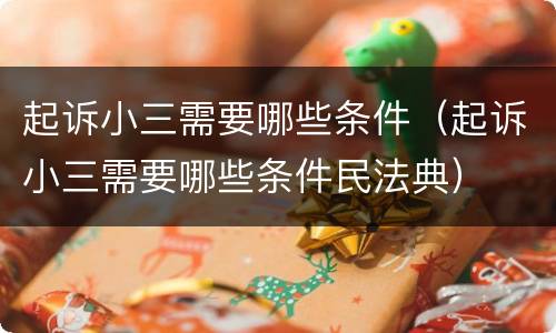 起诉小三需要哪些条件（起诉小三需要哪些条件民法典）