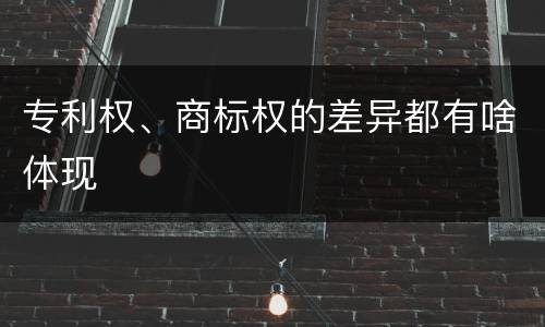 专利权、商标权的差异都有啥体现