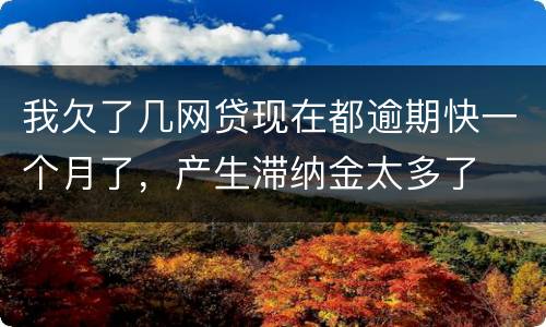 我欠了几网贷现在都逾期快一个月了，产生滞纳金太多了