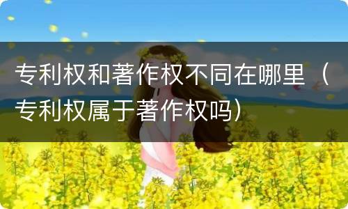 专利权和著作权不同在哪里（专利权属于著作权吗）