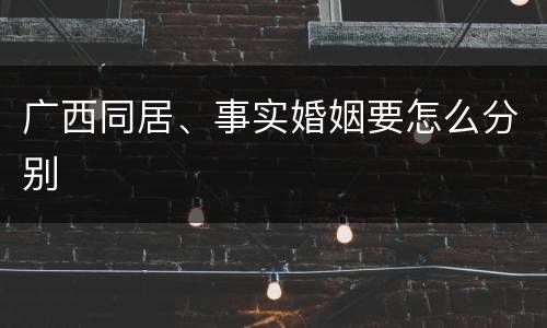 广西同居、事实婚姻要怎么分别