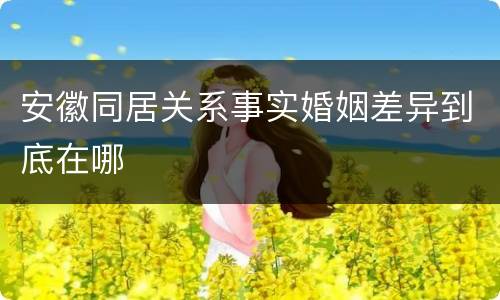 安徽同居关系事实婚姻差异到底在哪