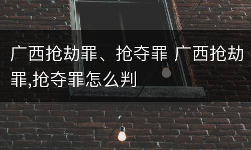 广西抢劫罪、抢夺罪 广西抢劫罪,抢夺罪怎么判