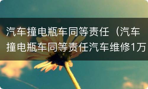 汽车撞电瓶车同等责任（汽车撞电瓶车同等责任汽车维修1万多这对吗）
