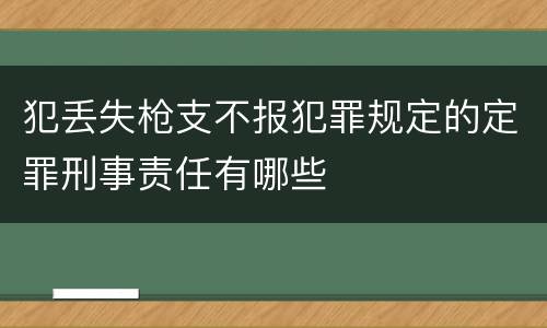 犯丢失枪支不报犯罪规定的定罪刑事责任有哪些
