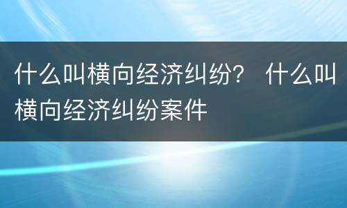 什么叫横向经济纠纷？ 什么叫横向经济纠纷案件