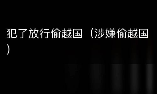 犯了放行偷越国（涉嫌偷越国）