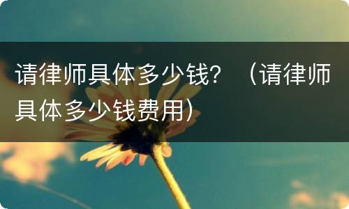 请律师具体多少钱？（请律师具体多少钱费用）